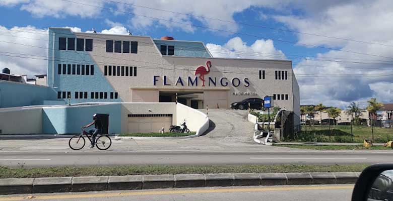 Auto Hotel Flamingos
